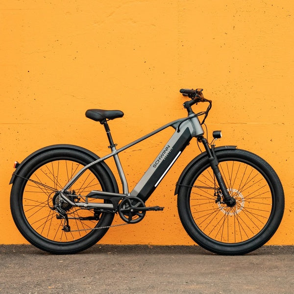 Electric Bike Components New EBike Owner's Guide Schwinn