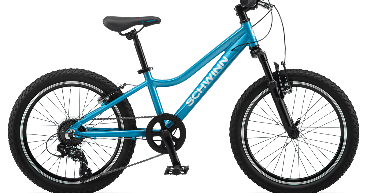 Youth schwinn bike cheap
