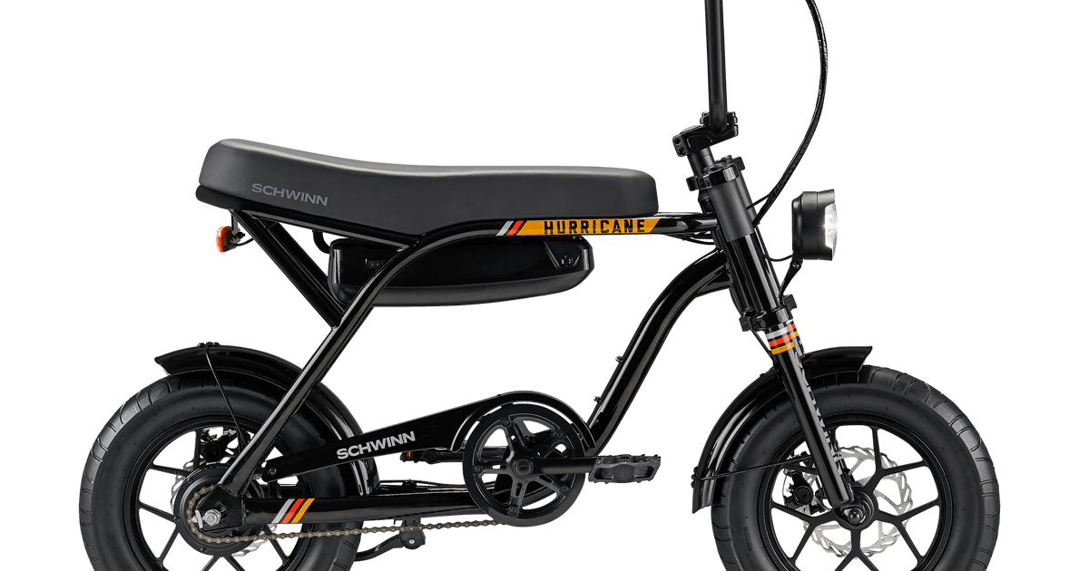 Schwinn constance electric bike hotsell