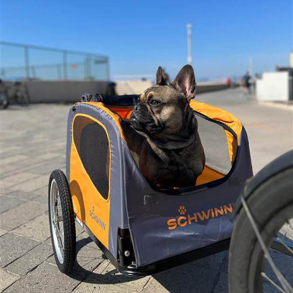 schwinn online store