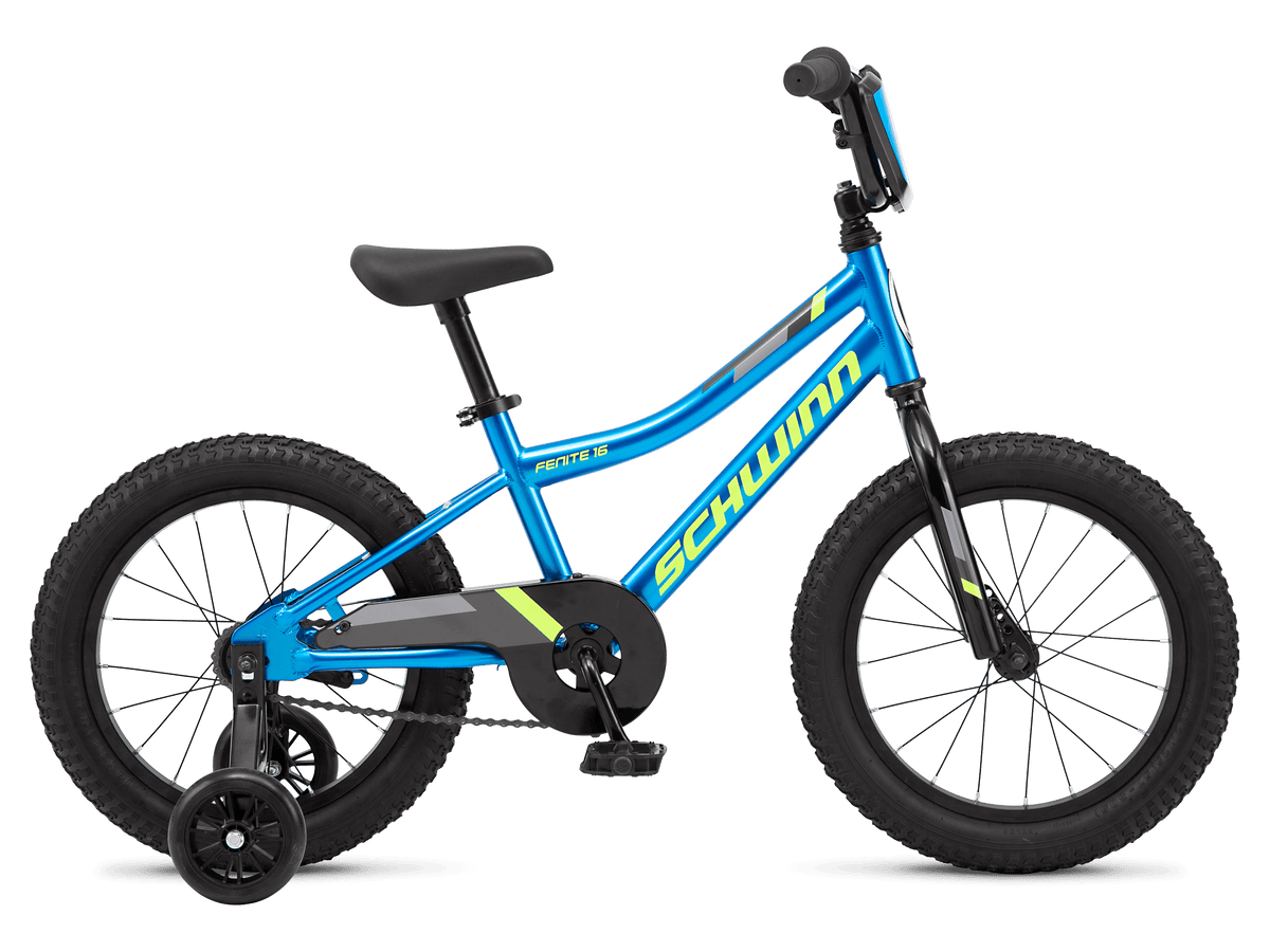 Fenite 16in Schwinn