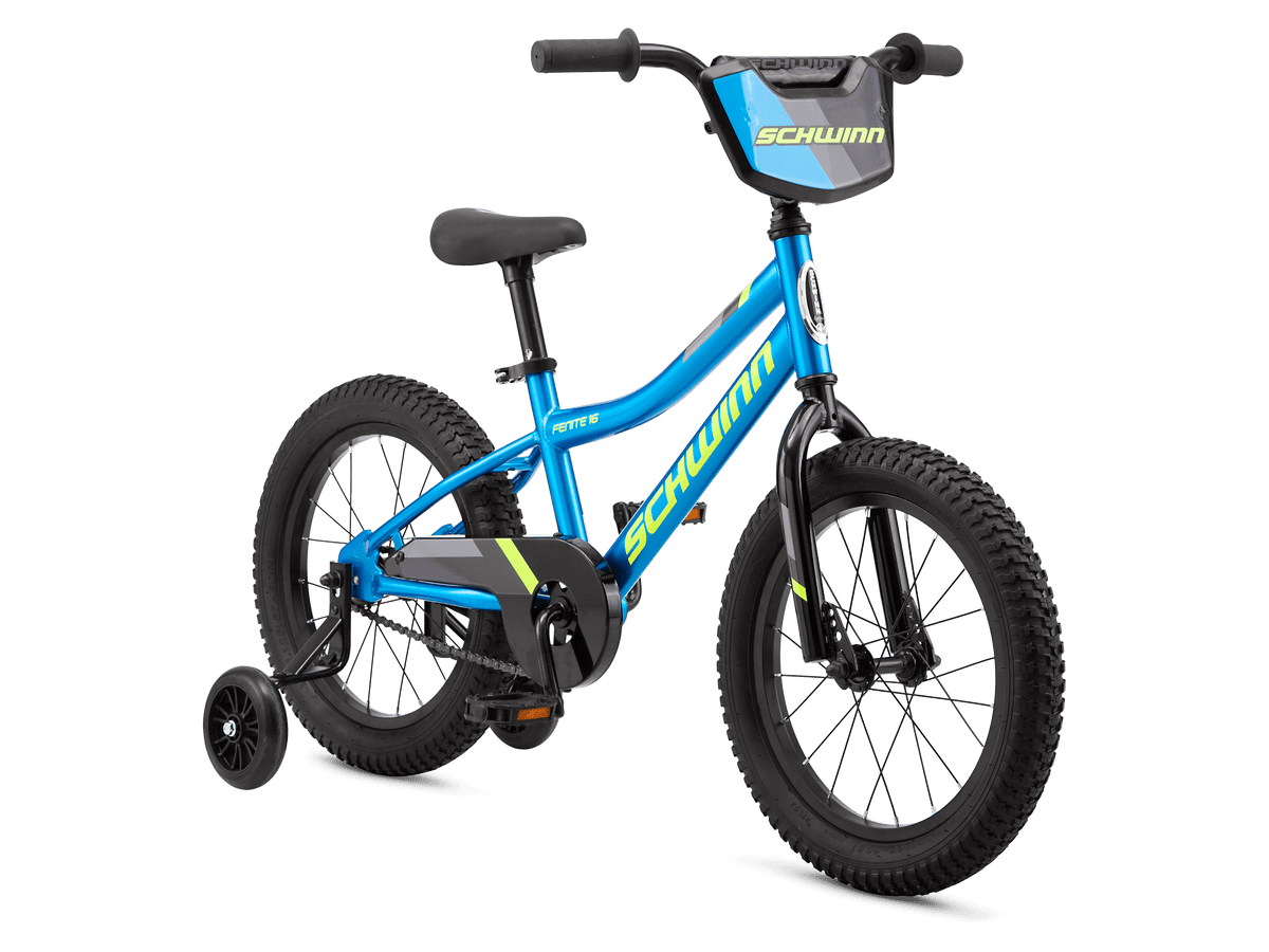 Fenite 16in Schwinn