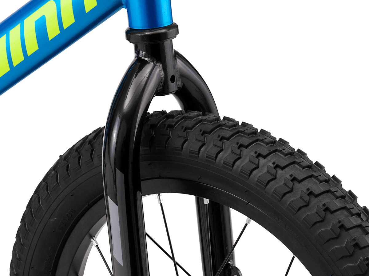 Schwinn fenite sales