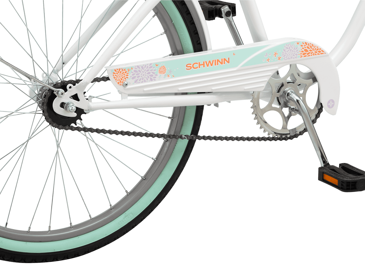 Schwinn 24