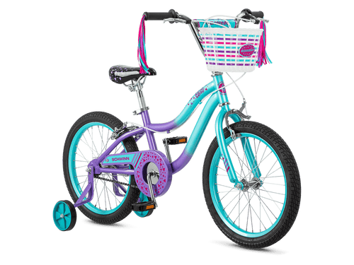 ★希少★　SCHWINN　fi‘zi:k NISENE　TITANIUM hq720.jpg?sqp=-