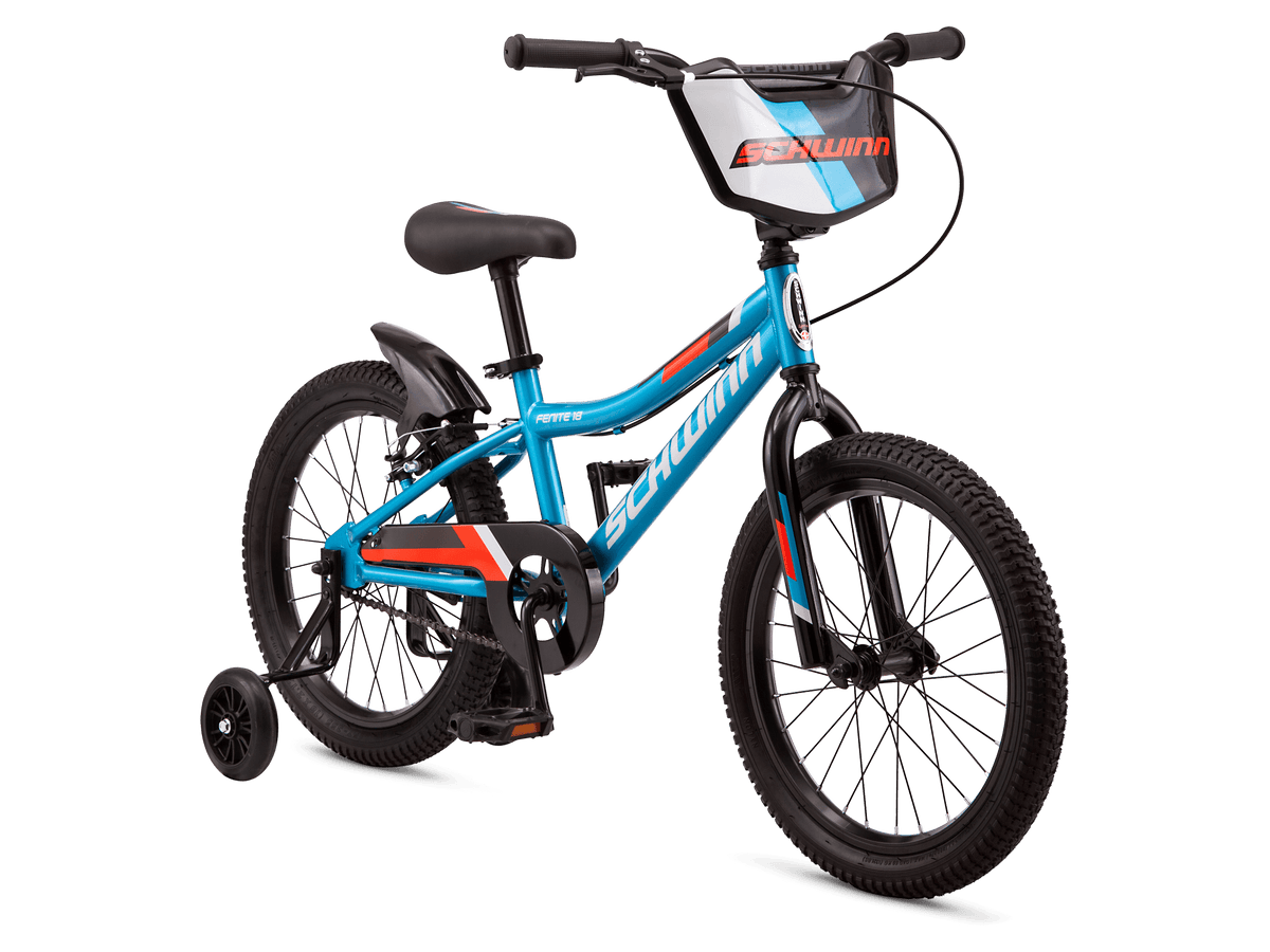 Schwinn signature fenite deals 20