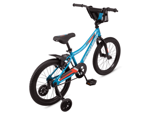 Schwinn top fenite 20