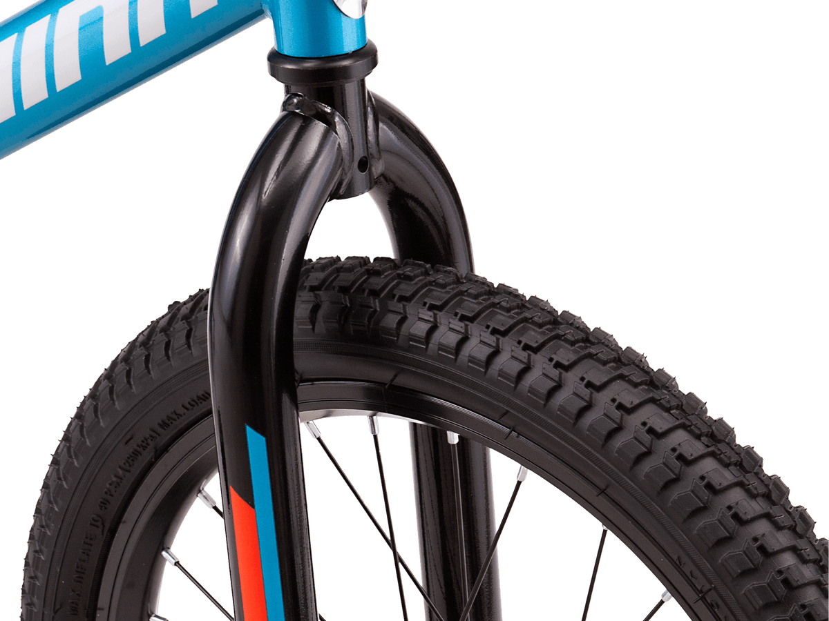 Fenite 18in Schwinn