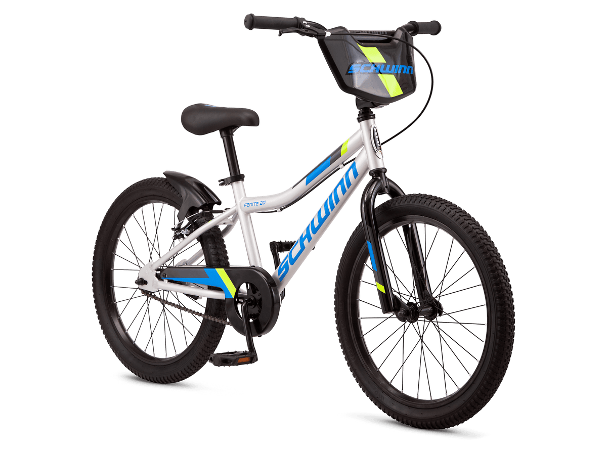 Fenite 20in Schwinn