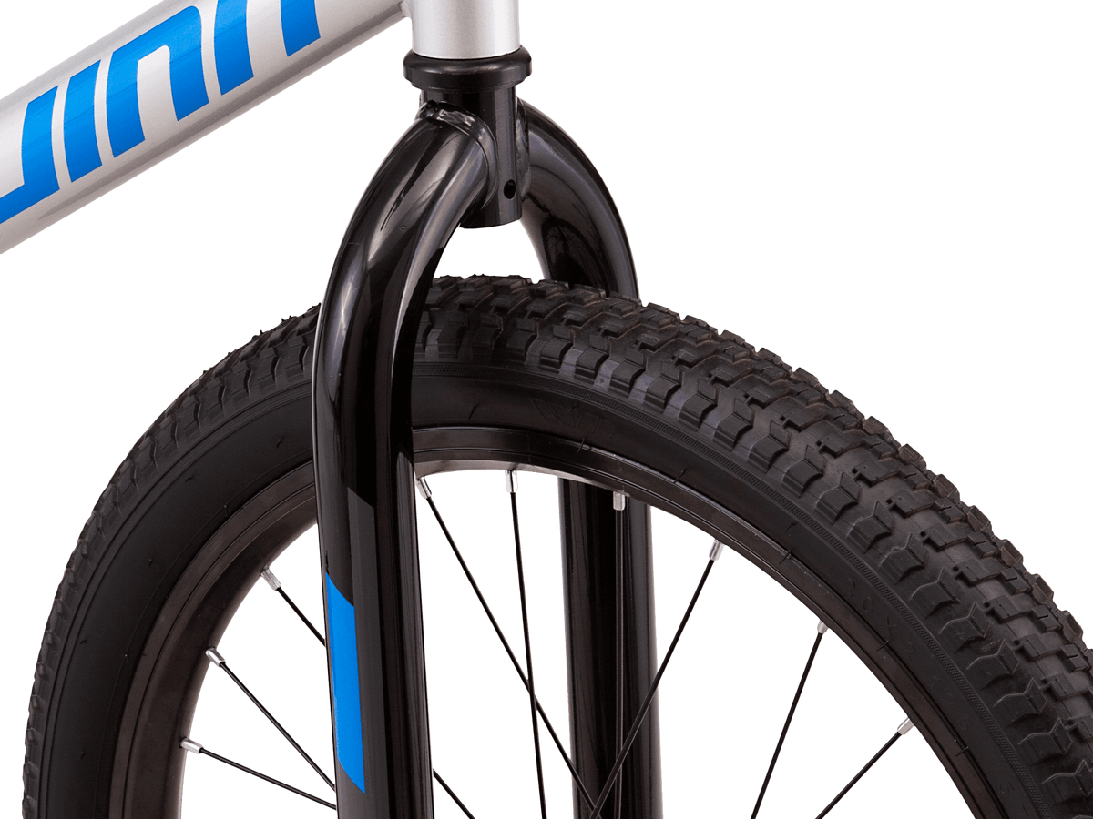 Fenite 20in Schwinn