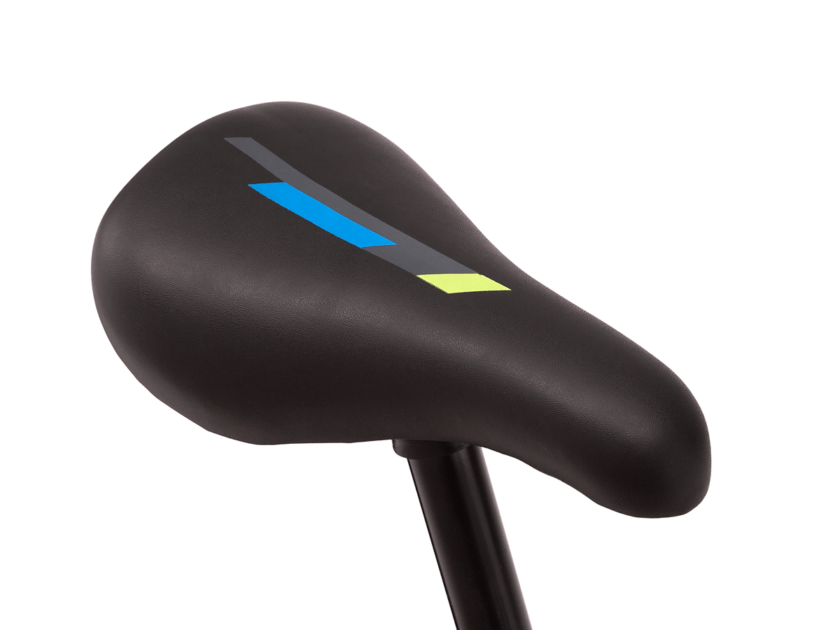 Schwinn top fenite 20
