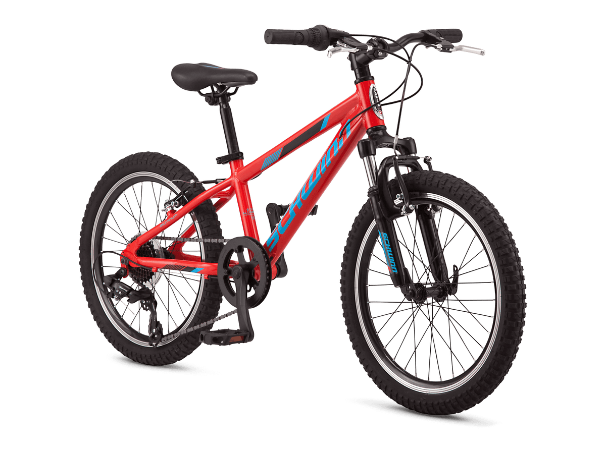 Thrasher 20in – Schwinn - Main Image