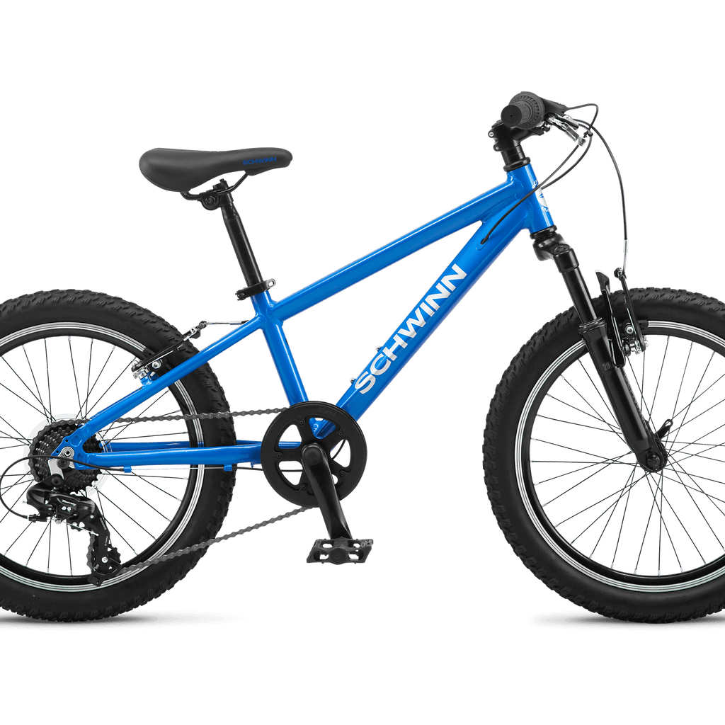 High Timber AL 20in Schwinn