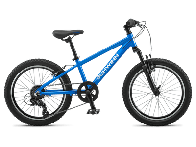 Destiny Girl s Cruiser Bike 24 Wheels Schwinn