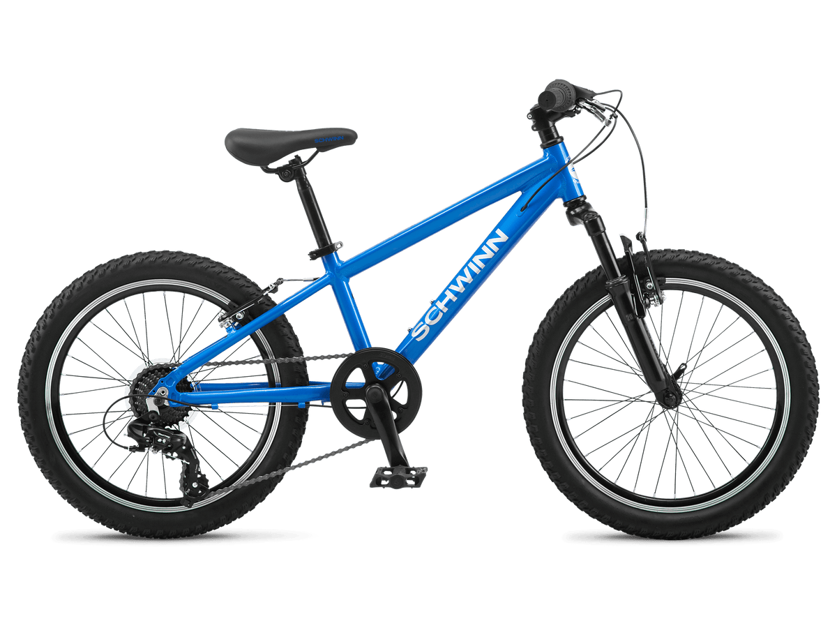 High Timber AL 20in Schwinn