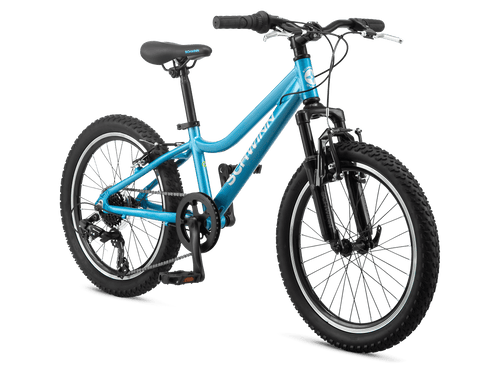 Schwinn high timber 20 outlet