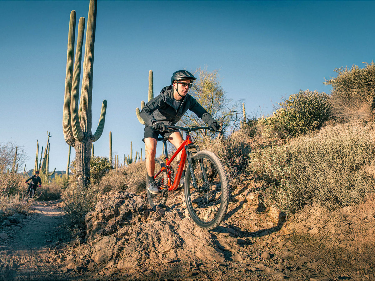 Axum FS 29in – Schwinn