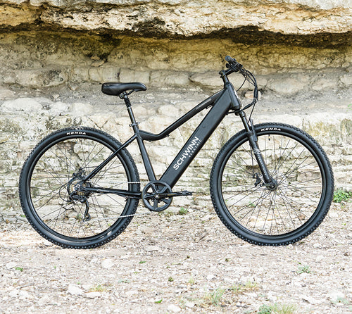 The Schwinn ridgewood e-bike in front of a rock wall