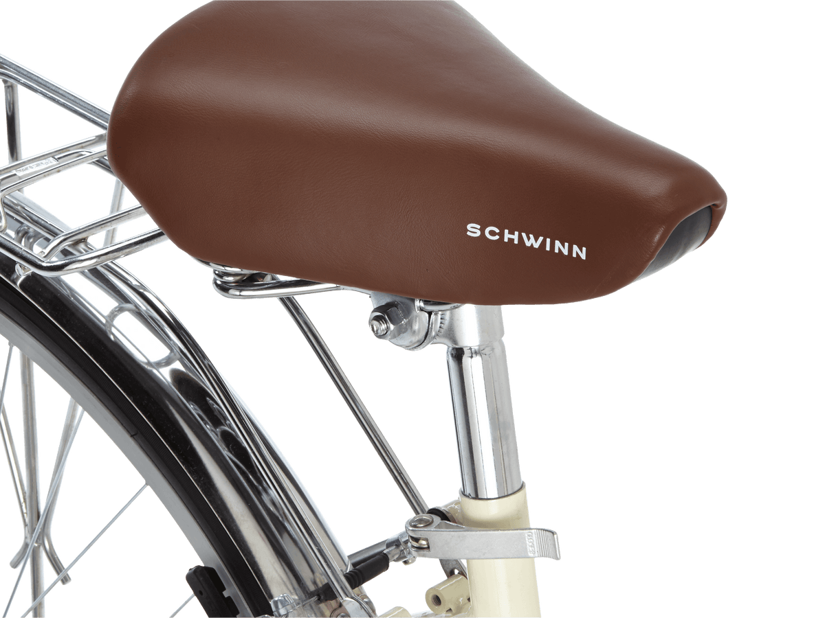 Gateway 700c – Schwinn