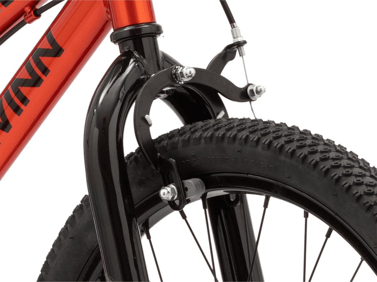 Firehawk 20in | Pint-sized power with training wheels – Schwinn