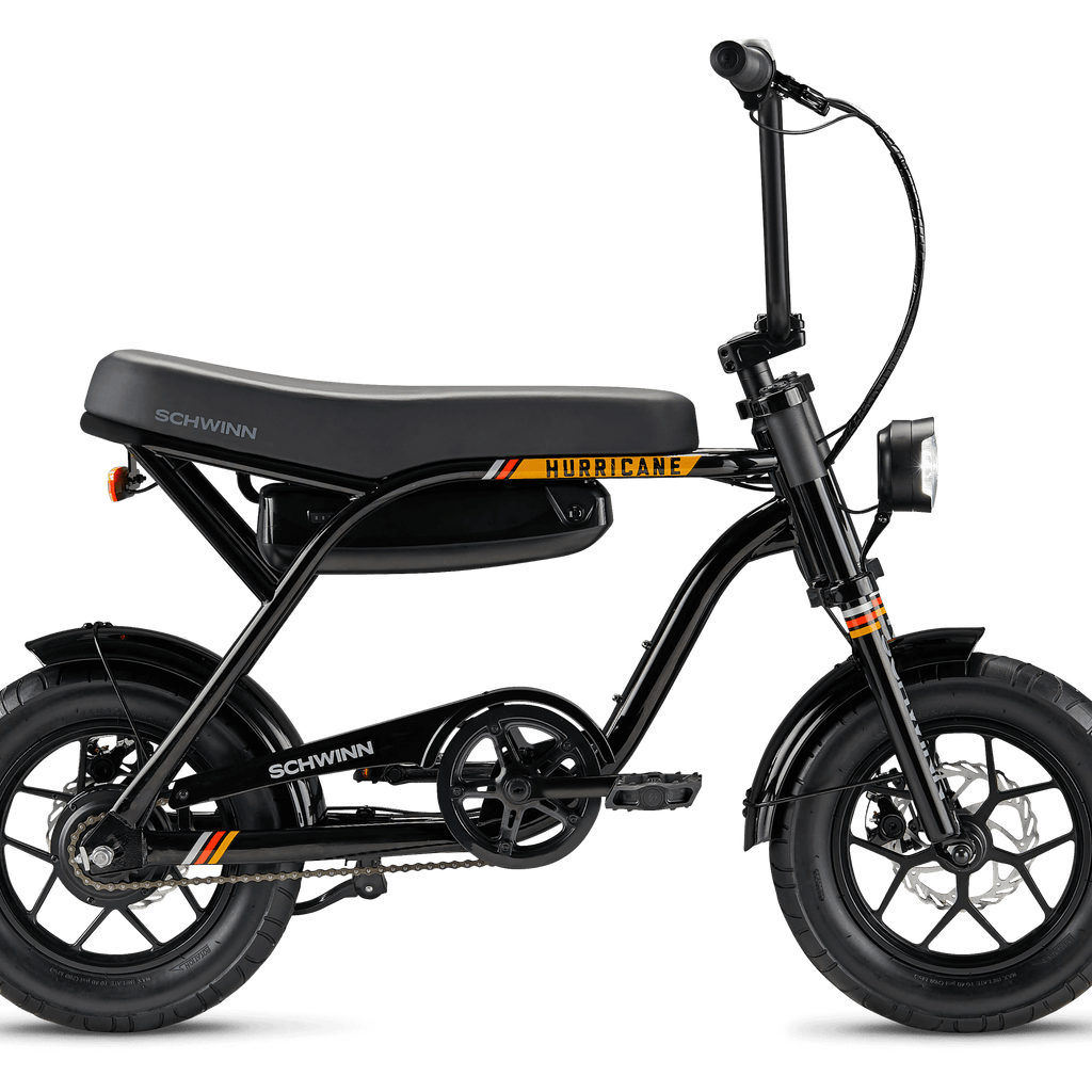 Schwinn super 3 cruiser sale