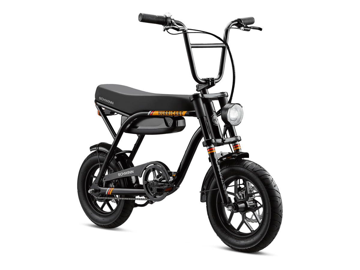 Schwinn electric bicycles shop