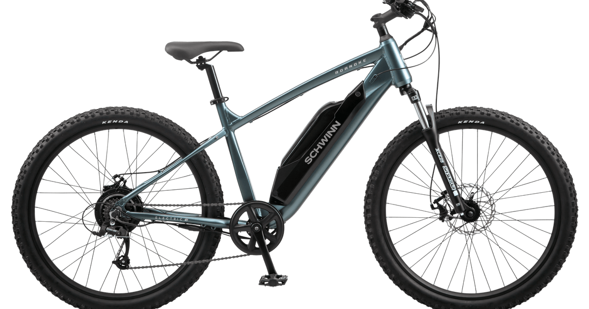 Electric Bikes Schwinn