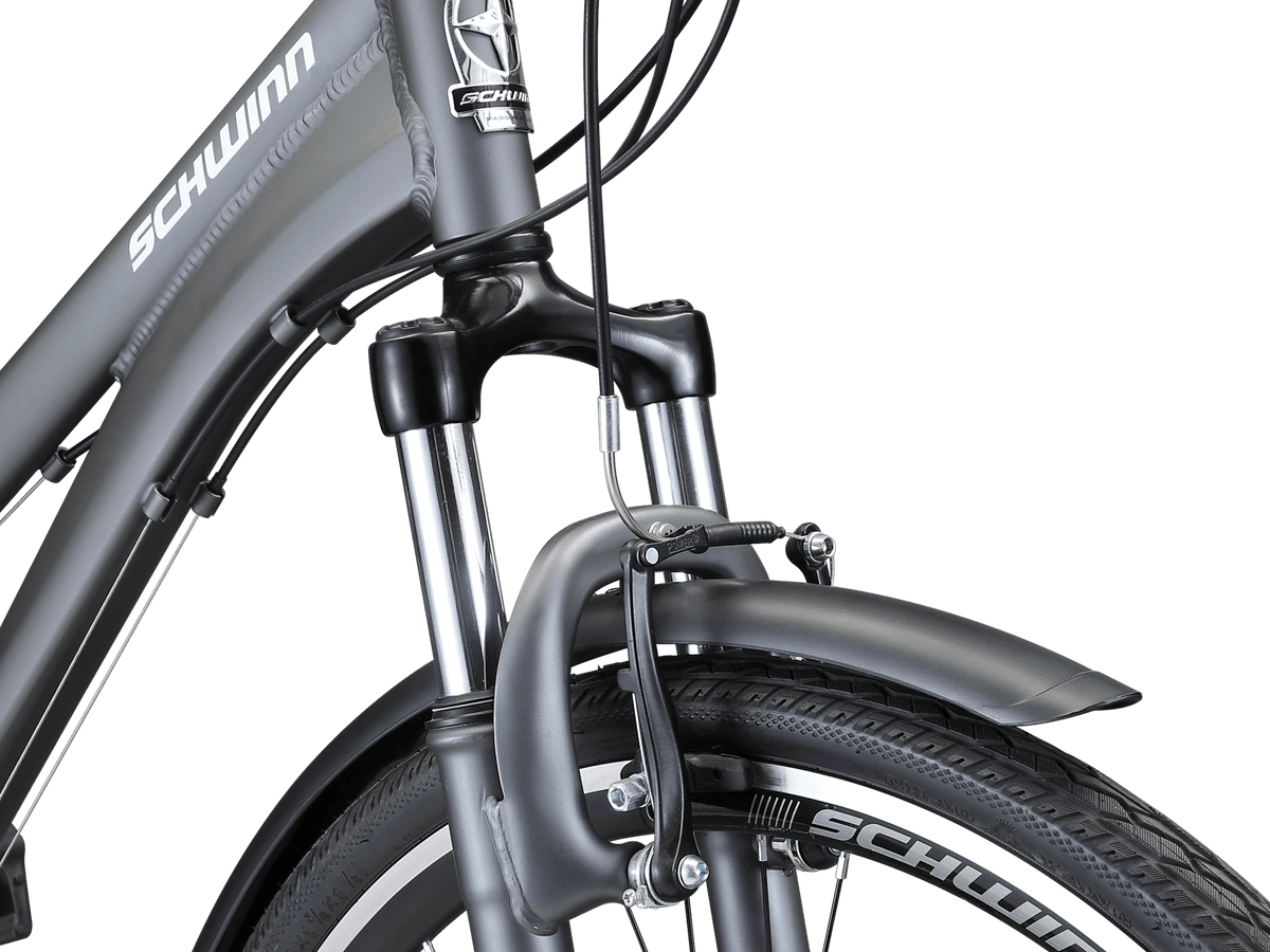 Schwinn graphick adapt