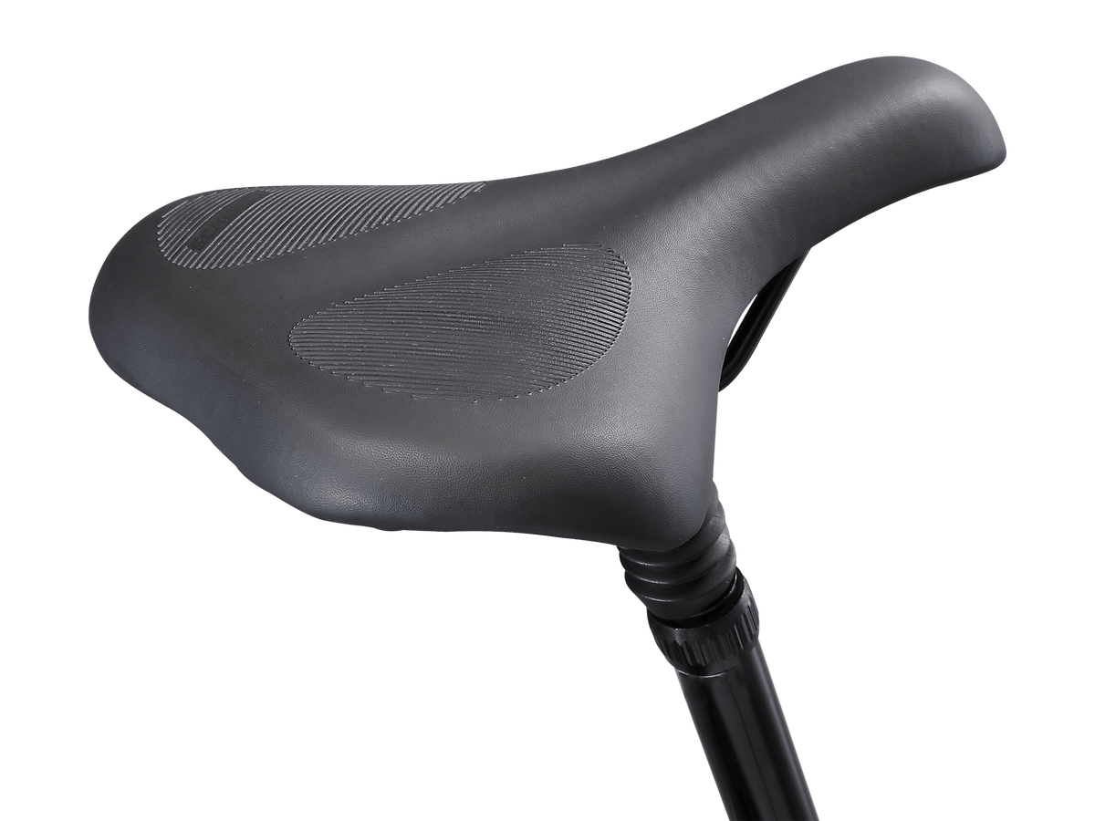 Schwinn discover women hotsell