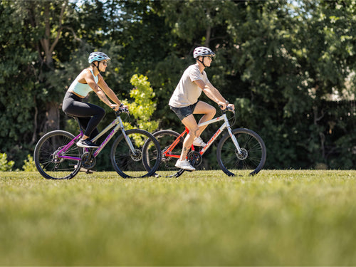 Circuit Low-Step 28in – Schwinn