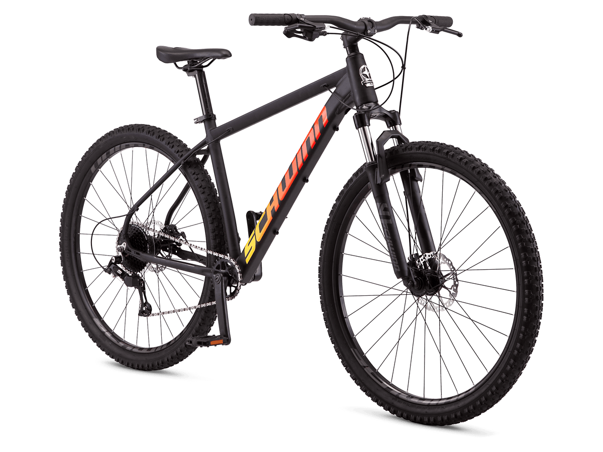 S5906tgb Ascension – Schwinn - Main Image