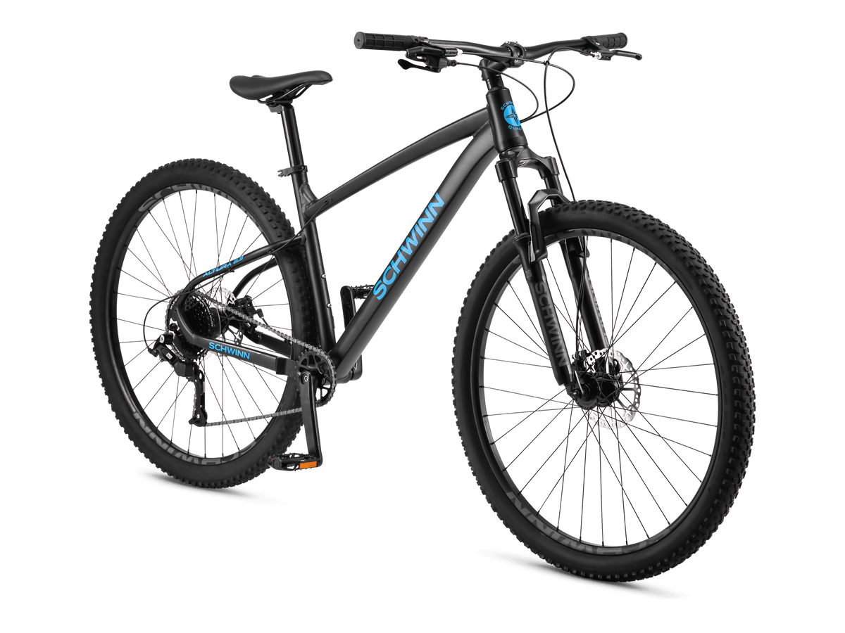 29in schwinn best sale