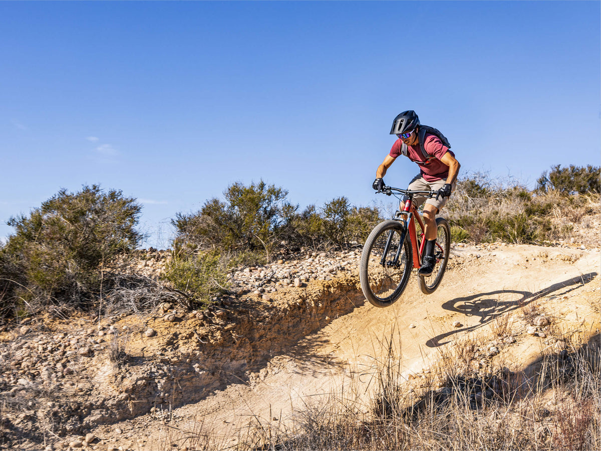 Axum Comp X 29in – Schwinn