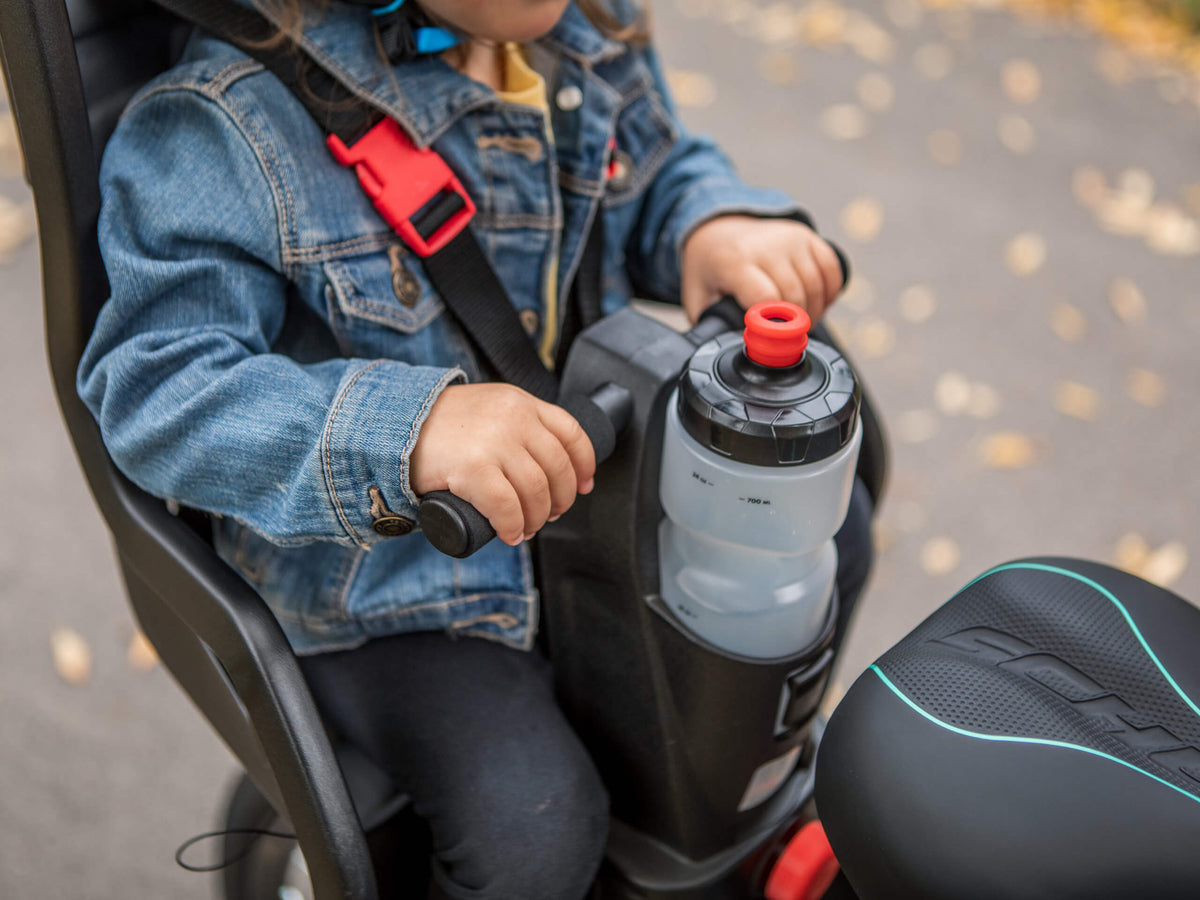 schwinn deluxe bicycle mounted child carrier/bike seat for children Schwinn Deluxe Bicycle Mounted Child Carrier/Bike Seat For Children