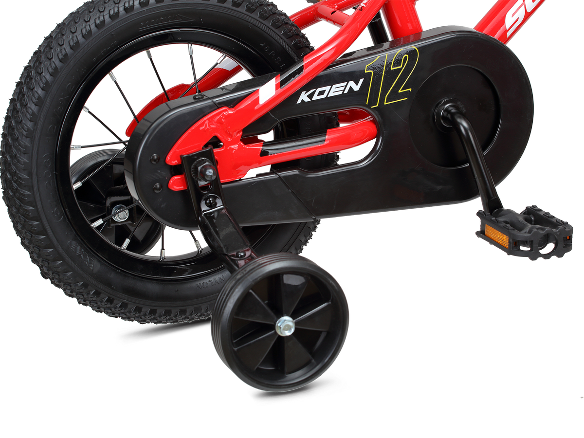 Schwinn 2024 koen 12