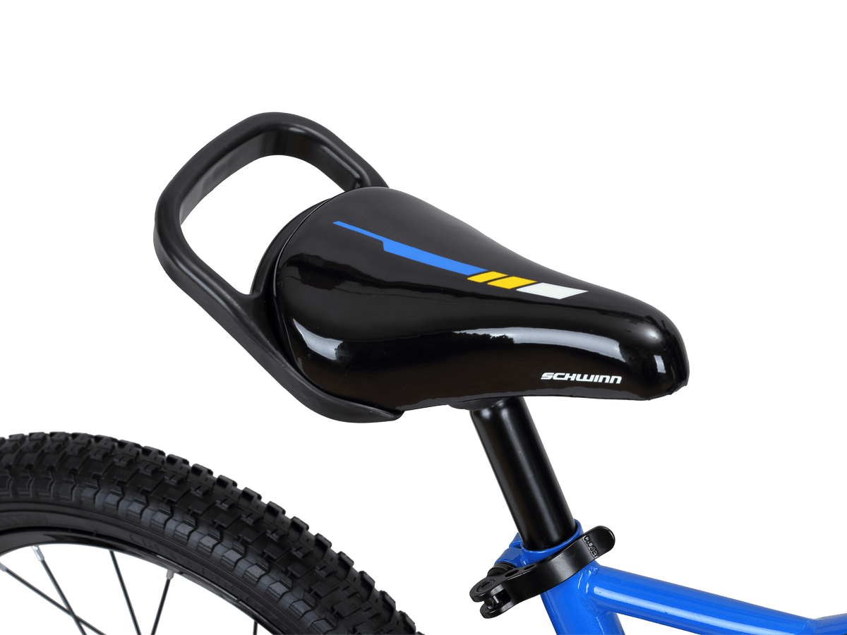 Schwinn koen 20 inch bike 2025