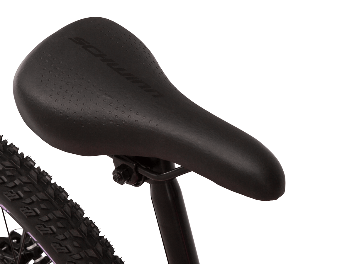 Schwinn high timber deals alx