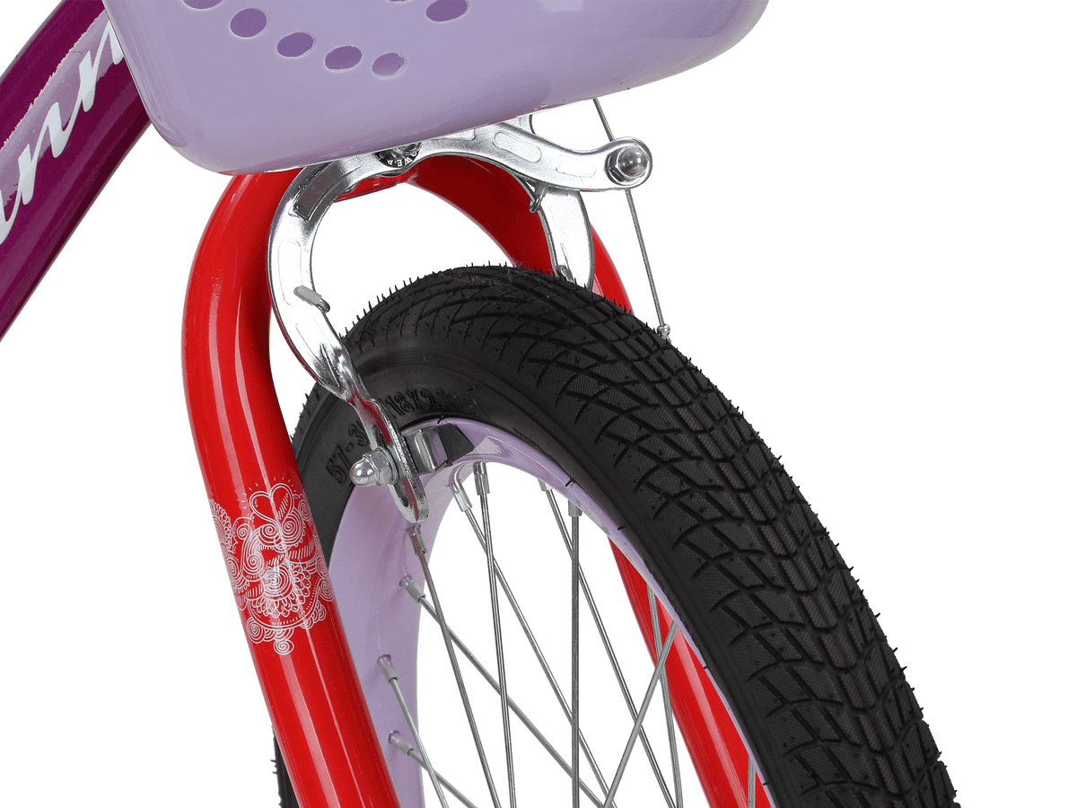 Schwinn top elm bike