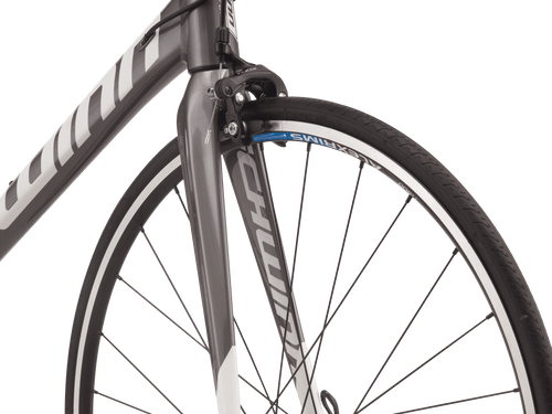 schwinn fastback al