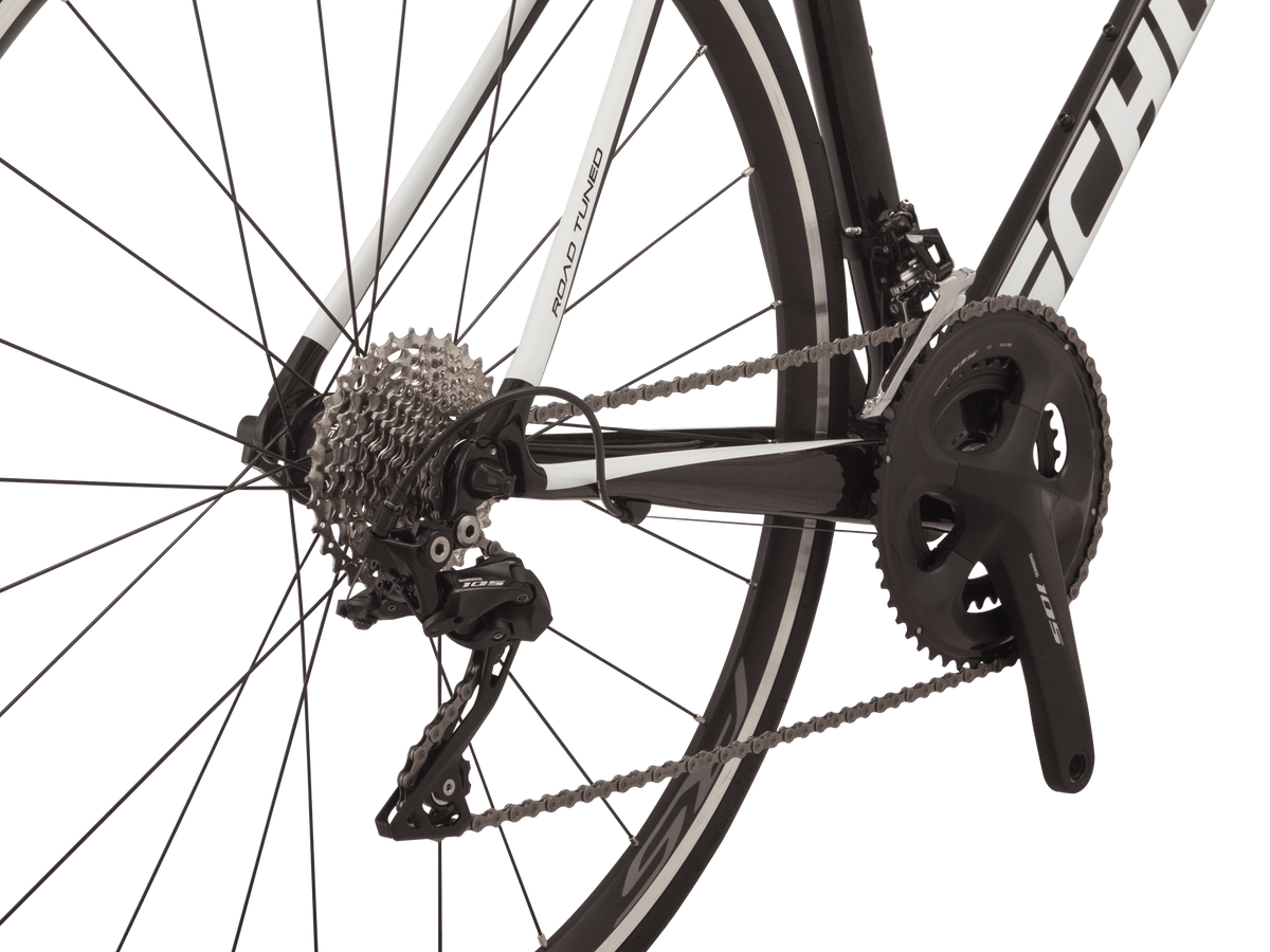 Fastback carbon 2024