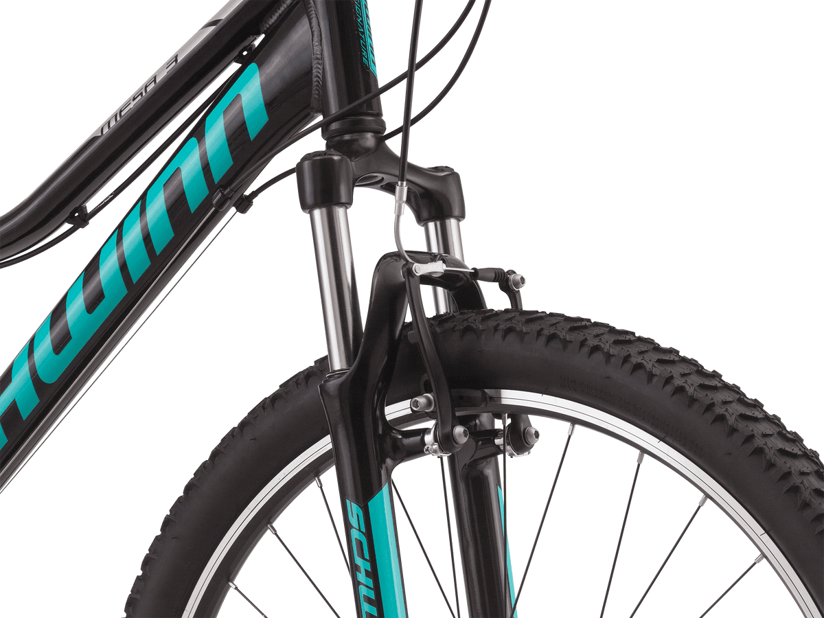 Schwinn mesa mountain discount bike
