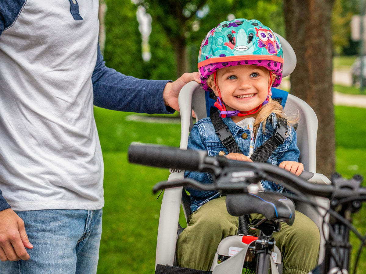 baby bike seat helmet Deluxe Child Carrier – Schwinn