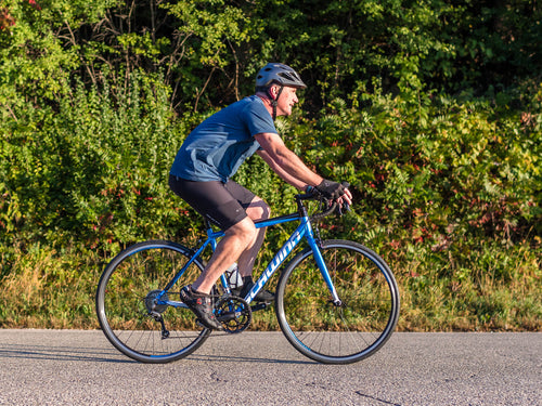 schwinn fastback al