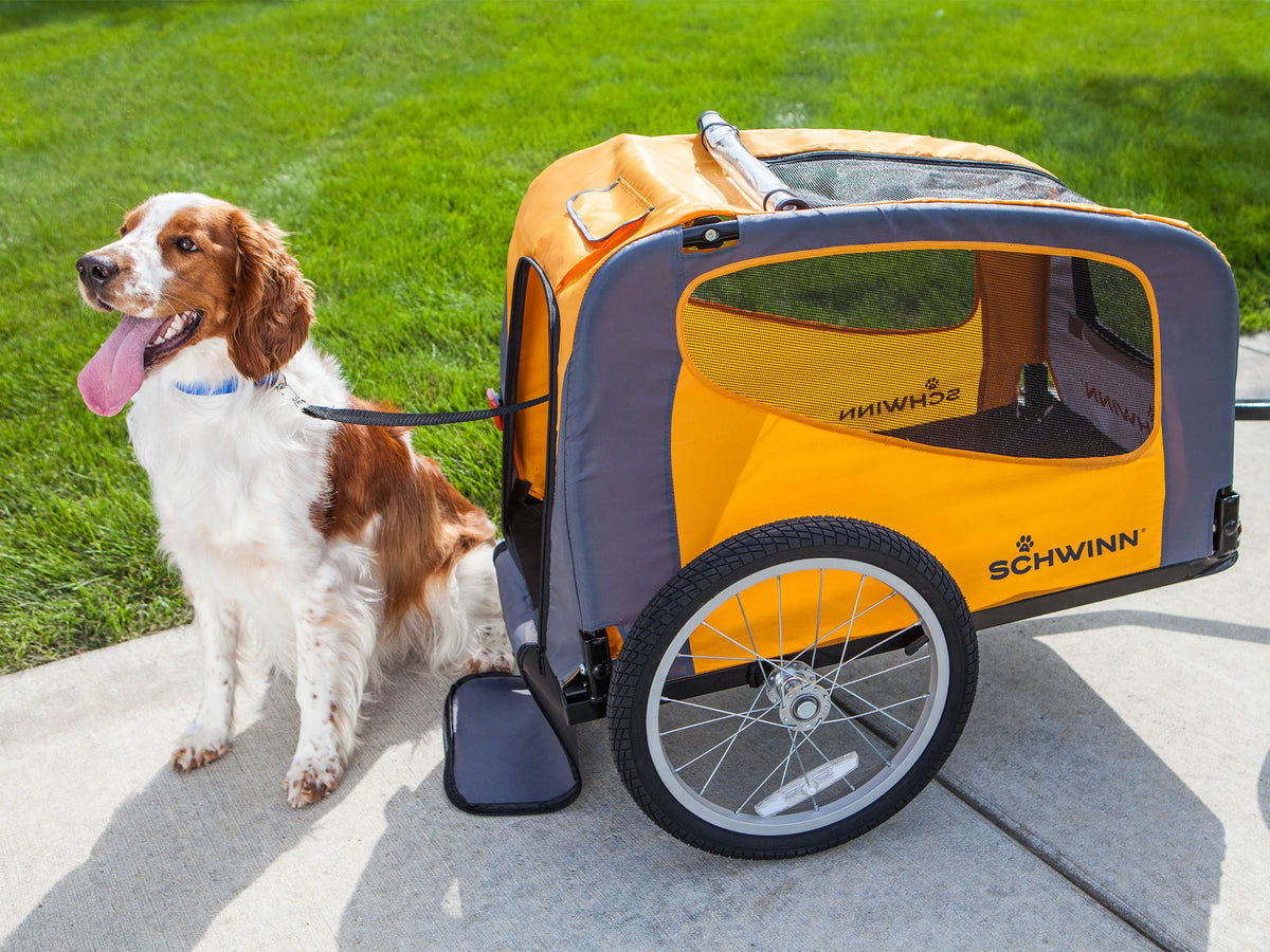 Choosing the Right Dog Bike Trailer: A Comprehensive Guide for Pet Parents