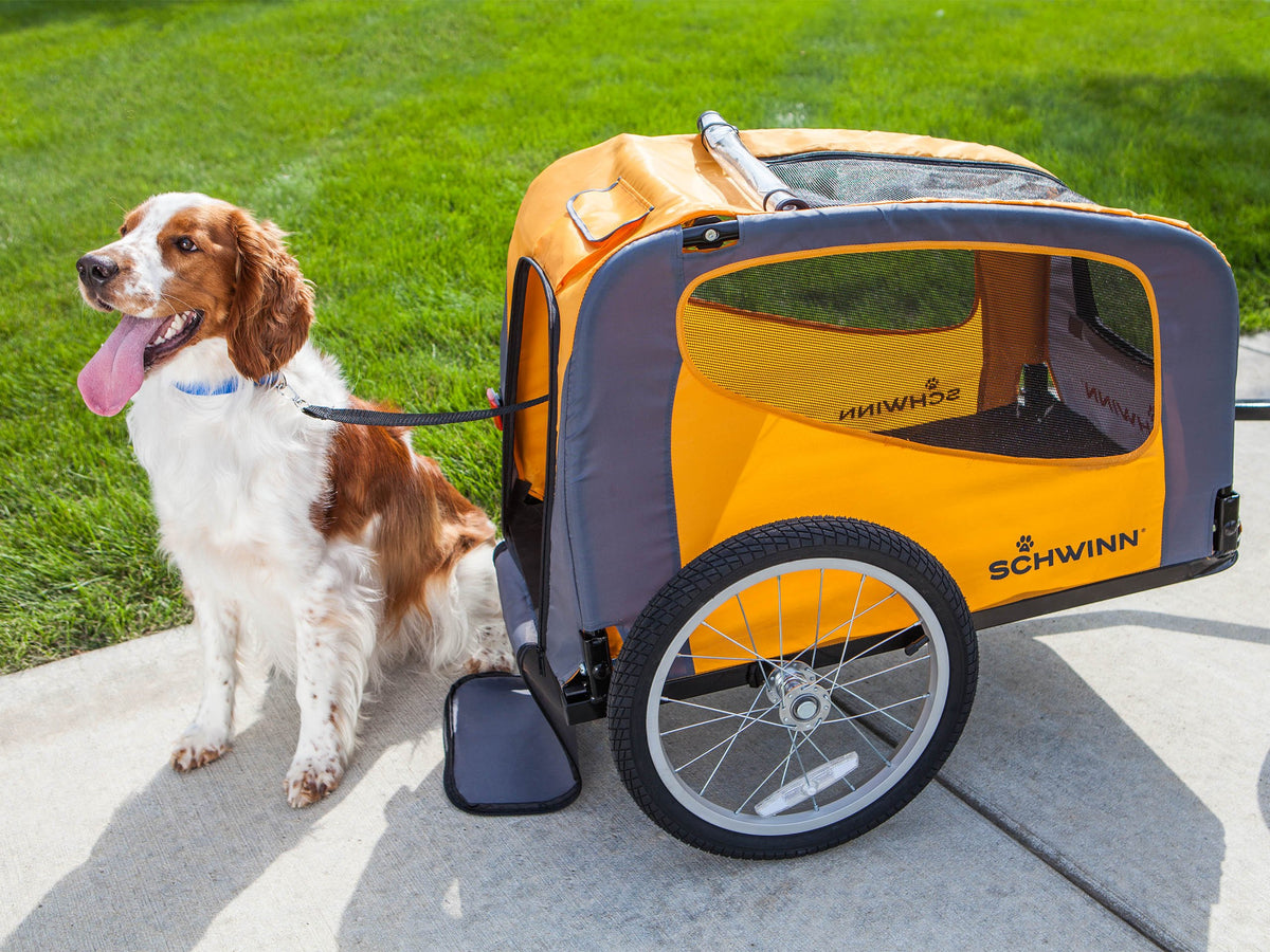 Choosing the Right Dog Bike Trailer: A Comprehensive Guide for Pet Parents Choosing the Right Dog Bike Trailer: A Comprehensive Guide for Pet Parents