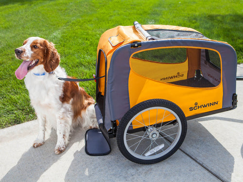 Rascal Bike Trailer for Dogs and Pets Schwinn