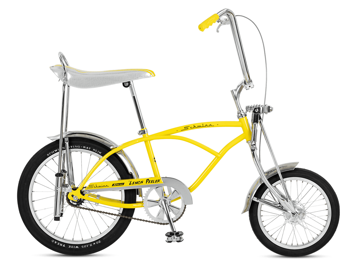 絶版　希少　コレクターブック　schwinn sting-ray Schwinn Sting-Ray (Enthusiast Color Series) book by Liz