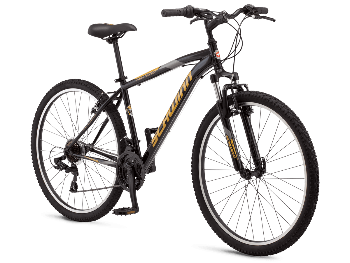 Schwinn 27 discount bike
