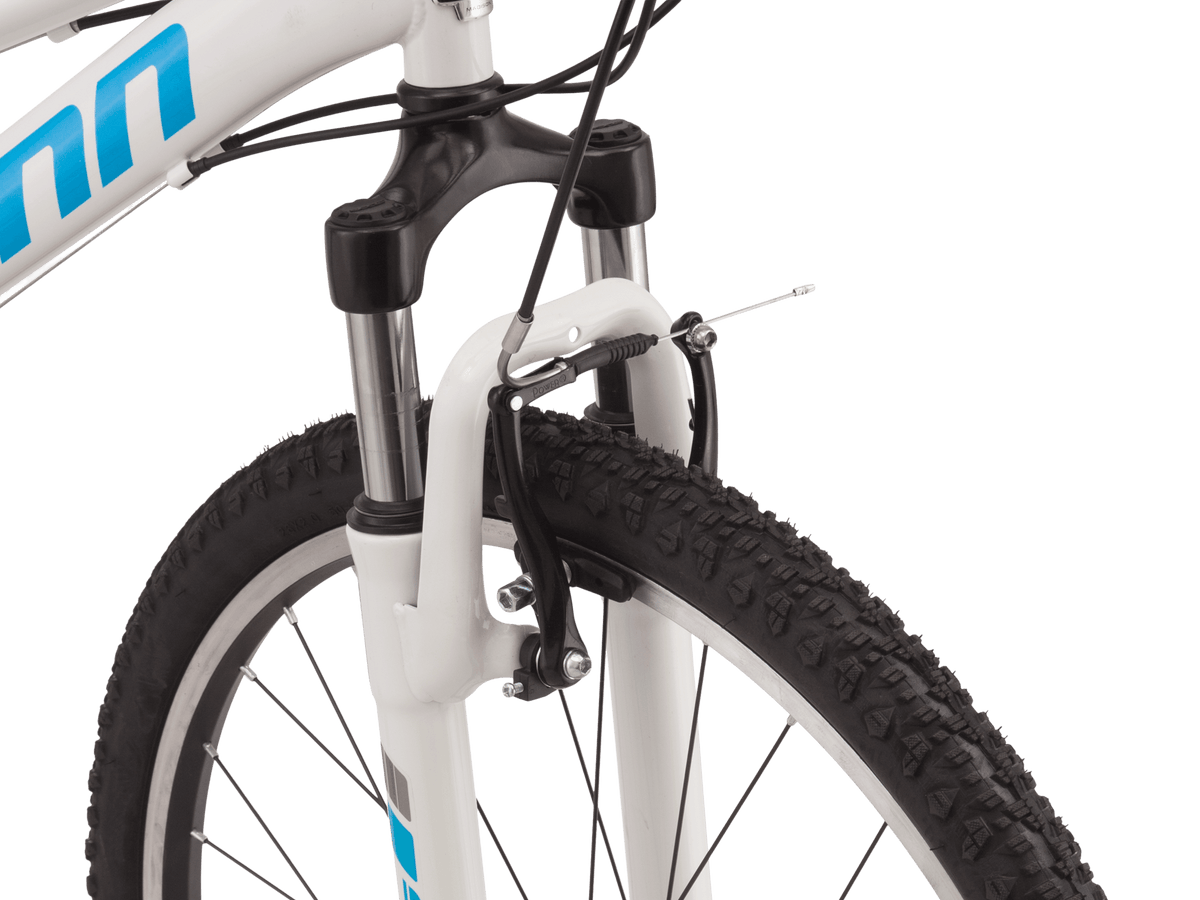 Schwinn 26in hotsell