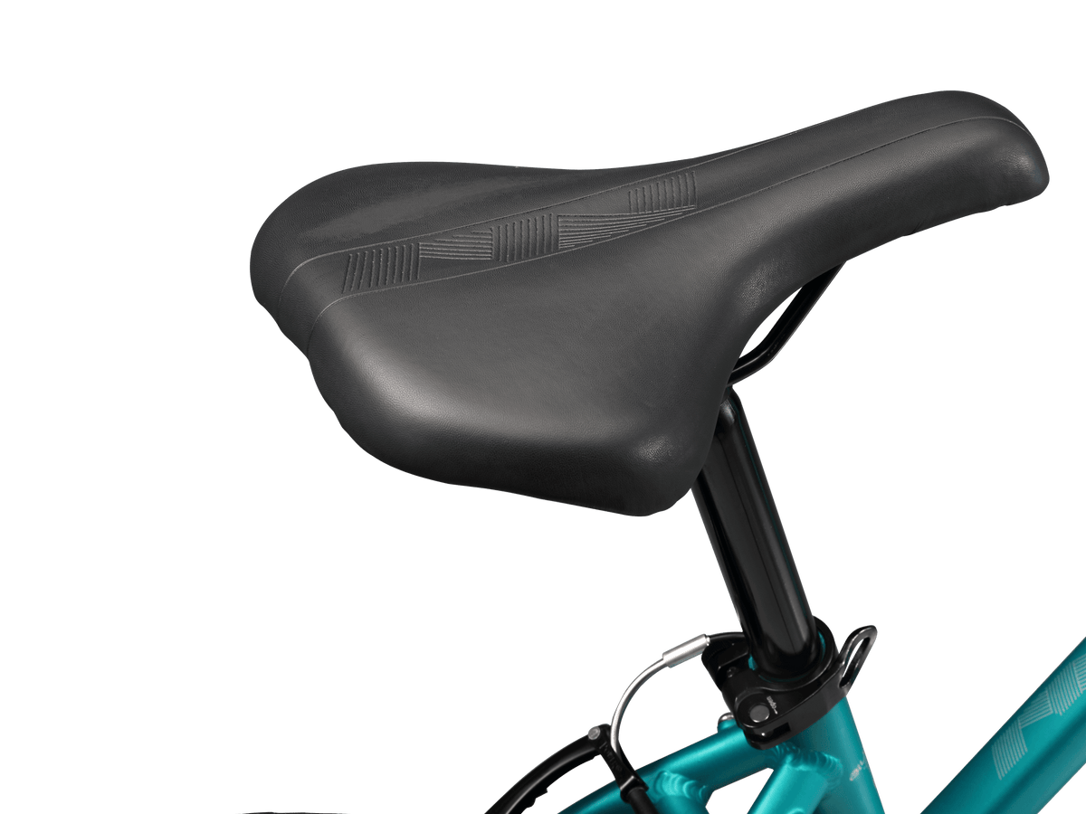 Schwinn network 2025 1.0 womens